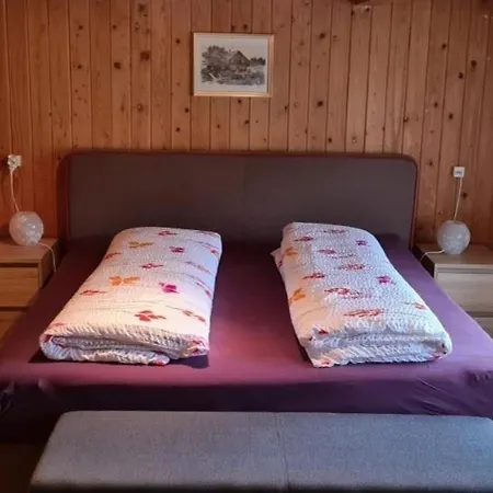 Holiday home Seuzach Nesslau